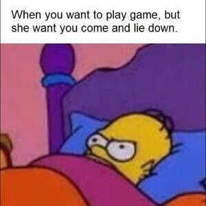 Meet your Posher, Bradley